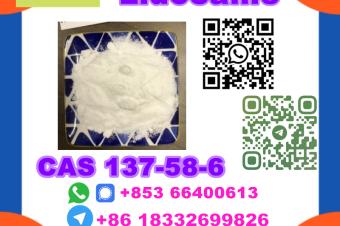  Manufacturer Supply Raw Material CAS 137586 Lidocaine
